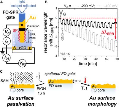 Optical and electronic signal stabilization of plasmonic fiber optic gate electrodes: towards improved real-time dual-mode biosensing
